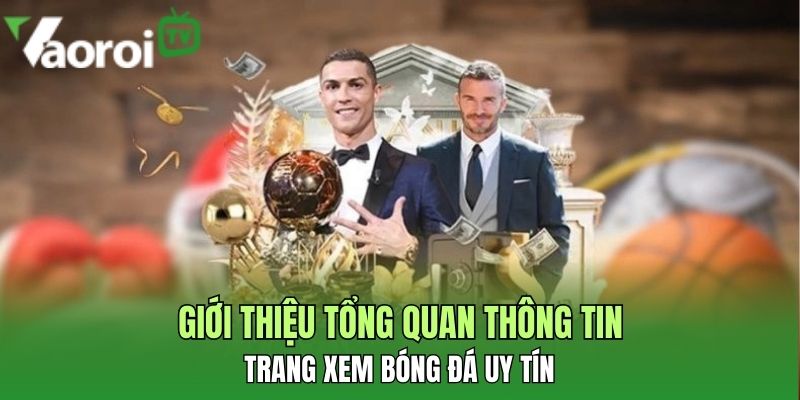 gioi thieu tong quan thong tin trang