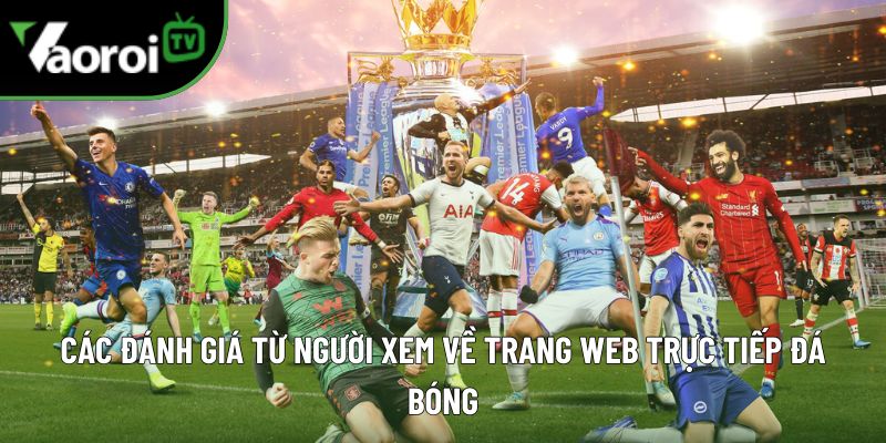 vaoroitv danh gia
